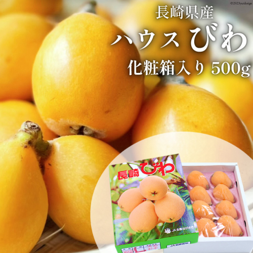 AH093 【期間限定発送】長崎県産 ハウスびわ 約500g 化粧箱入り [ フルーツ 果物 くだもの びわ ビワ 枇杷 数量限定 季節限定 初夏 冷蔵 長崎県 島原市 ] 1519314 - 長崎県島原市