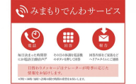 郵便局のみまもりサービス「みまもりでんわサービス（携帯電話3か月間）」 ／ 見守り お年寄り 故郷 標茶町