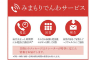 郵便局のみまもりサービス「みまもりでんわサービス（携帯電話6か月間）」 ／ 見守り お年寄り 故郷 標茶町