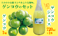 [数量限定]さわやかな香りにやわらかな酸味 幻の ゲンコウ ジュース 1本 + ゲンコウ 1kg 希少 _b-420