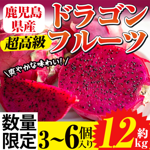 No.248 《数量・期間限定》鹿児島県産！ドラゴンフルーツ(1.2kg・3個～6個) 国産 鹿児島 日置市 デザート 果物 フルーツ 栽培期間中 農薬不使用 贈り物 贈答品【はまうえ果樹園】 15196 - 鹿児島県日置市