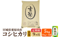 《定期便9ヶ月》【令和6年産・玄米】宮城県栗原産 コシヒカリ 毎月5kg (5kg×1袋)×9ヶ月