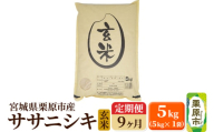 《定期便9ヶ月》【令和6年産・玄米】宮城県栗原産 ササニシキ 毎月5kg (5kg×1袋)×9ヶ月