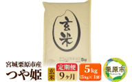 《定期便9ヶ月》【令和6年産・玄米】宮城県栗原産 つや姫 毎月5kg (5kg×1袋)×9ヶ月