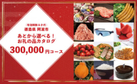 ゆっくりえらべる カタログ 30万円 コース あとから選べる 鮮魚 肉 米 酒 定期便 スイーツ フルーツ 選べる ギフト セレクト 【 徳島県 阿波市 】