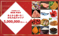 ゆっくりえらべる カタログ 500万円 コース あとから選べる 鮮魚 肉 米 酒 定期便 スイーツ フルーツ 選べる ギフト セレクト 【 徳島県 阿波市 】