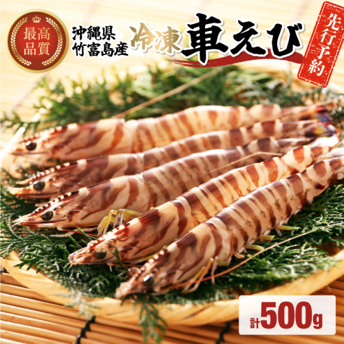 先行予約 車えび 500g 竹富島産 冷凍車えび 1519917 - 沖縄県竹富町