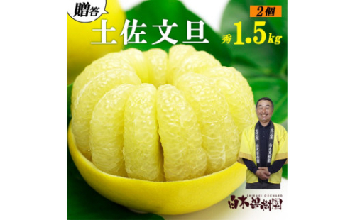 【果樹園直送】土佐文旦　4L　2個入り　1.5kg 大玉　特選品贈答用　果物　柑橘　フルーツ　ぶんたん　ブンタン　文旦　高知県土佐市　お取り寄せ 産地直送　おいしい 美味しい　返礼品　白木果樹園 1519975 - 高知県土佐市