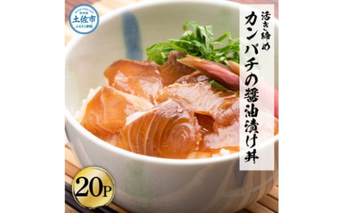訳あり 活き締めカンパチの醤油漬け丼(20P)セット 1519980 - 高知県土佐市
