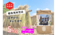 《令和6年産米》【定期便】2回　越後奥阿賀産はざがけ（天日干し）コシヒカリ　5kg（1袋）