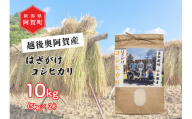 《令和6年産米》 越後奥阿賀産はざがけ（天日干し）コシヒカリ　10kg（5kg×2袋）