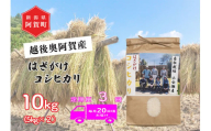 《令和6年産米》【定期便】3回　越後奥阿賀産はざがけ（天日干し）コシヒカリ　10kg（5kg×2袋）