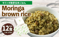 MorinGa brown rice(モリンガ発芽玄米ご飯) 125g×12食 合計1.5kg 発芽 玄米 機能性表示食品 GABA