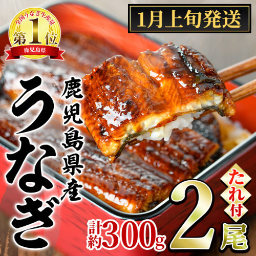 【0134332a-2601】＜1月上旬発送予定＞東串良町のうなぎ蒲焼(無頭)(2尾・計約300g・タレ、山椒付) うなぎ 高級 ウナギ 鰻 国産 蒲焼 蒲焼き たれ 鹿児島 ふるさと 人気【株式会社アクアおおすみ】 1520807 - 鹿児島県東串良町