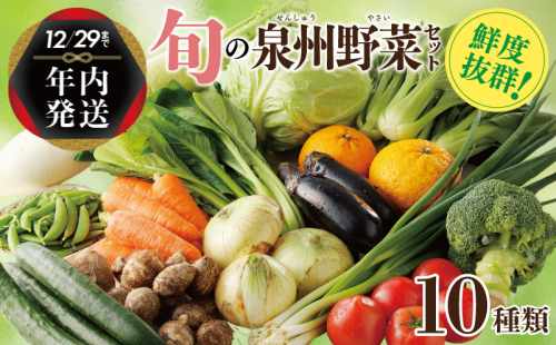 【年内発送】 新鮮 野菜セット 詰め合わせ 10種類 国産 旬 お試し おまかせ お楽しみ 099H2491y 1520873 - 大阪府泉佐野市