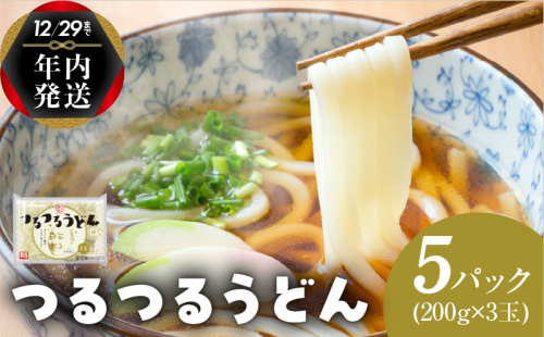 【年内発送】 麺名人 つるつるうどん 15食 個包装 099H2513y 1520880 - 大阪府泉佐野市