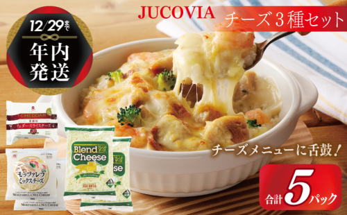 【年内発送】 【ムラカワチーズ】JUCOVIA スライスチーズ1種・シュレッドチーズ2種セット 合計5パック 099H2986y 1520894 - 大阪府泉佐野市