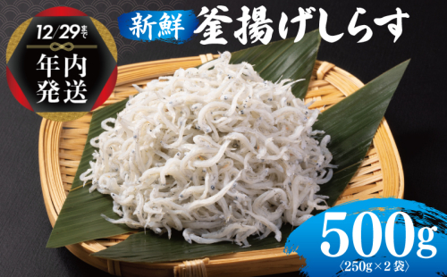 【年内発送】 新鮮 釜揚げしらす 合計 500g 小分け 250g×2P 010B1505y 1520896 - 大阪府泉佐野市