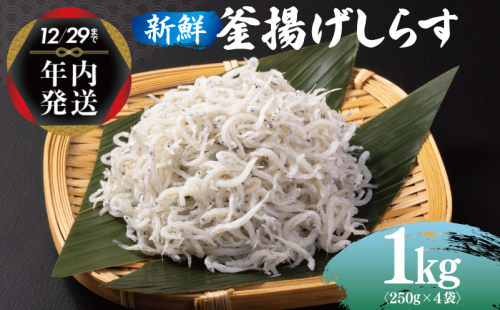 【年内発送】 新鮮 釜揚げしらす 合計 1kg 小分け 250g×4P 015B296y 1520897 - 大阪府泉佐野市