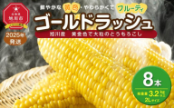 【先行予約】黄金色で大粒 ゴールドラッシュ 8本 3.2kg (2025年8月下旬～発送開始予定)【 人気 北海道産 糖度 生 野菜 スイートコーン 産地直送 バーベキュー BBQ コーン 旬 お取り寄せ 旭川市 北海道 送料無料 】_04560