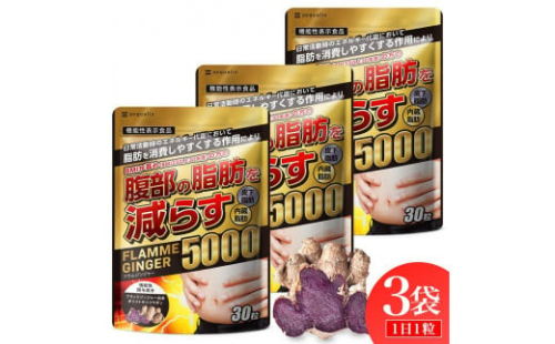 ブラックジンジャー サプリメント フラムジンジャー 機能性表示食品 3袋セット◇ 1521082 - 静岡県静岡市