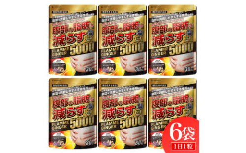 ブラックジンジャー サプリメント フラムジンジャー 機能性表示食品 6袋セット◇ 1521083 - 静岡県静岡市