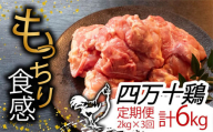 [定期便3回]銘柄鶏 四万十鶏 もも肉 計6kg(2kg×3ヶ月連続お届け) Sコース | 切身 カット 時短 小分け カット済み 鳥肉 とりにく 鶏もも 冷蔵 国産 ブランド 唐揚げ 煮物 鍋 チキン 南蛮 高知県 須崎市