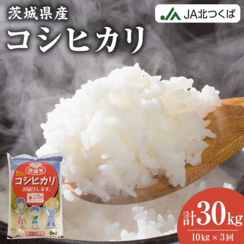 【 定期便 3ヶ月 】 JA北つくば 茨城県産 コシヒカリ 10kg ( 5kg × 2袋 ) 令和6年産 農協 JA 米 お米 白米 コメ こしひかり 茨城県 精米 新生活 応援 [AE044ci] 1521149 - 茨城県筑西市