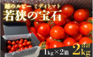 越のルビー「若狭の宝石」ミディトマト 1kg×2箱 計2kg