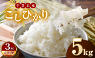 [新米・令和6年産][3回定期便]君津市産こしひかり(精米)5kg | JA さだもと 米 こめ お米 おこめ 白米 精米 定期便 定期 千葉県 君津市 きみつ