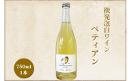 微発泡白ワイン Chardonnay2023 ペティアン 750ml (1本)｜ワイン スパークリング シャルドネ 無添加 無濾過 国産 日本ワイン 愛知県 東浦町 [0701]