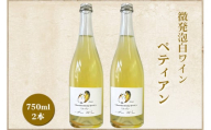 微発泡白ワイン Chardonnay2023 ペティアン 750ml (2本セット)｜ワイン スパークリング シャルドネ 無添加 無濾過 国産 日本ワイン 愛知県 東浦町 [0702]