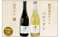 白ワイン・微発泡白ワイン飲み比べ2本セット Chardonnay2022「爽」750ml＆Chardonnay2023「ペティアン」750ml｜ワイン スパークリング 飲み比べ シャルドネ 無添加 無濾過 国産 日本ワイン 愛知県 東浦町 [0703]