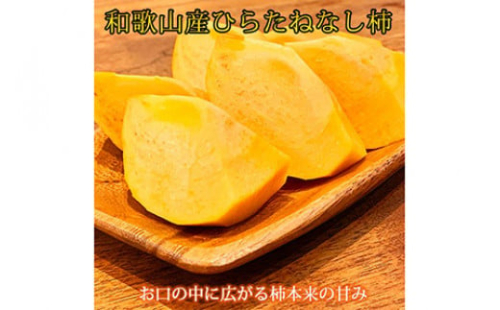 和歌山秋の味覚 平核無柿（ひらたねなしがき）約7.5kg ※2025年10月上旬～10月末頃に順次発送予定 152147 - 和歌山県美浜町