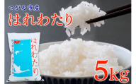 令和6年 つがる市産 はれわたり 5kg｜新米 2024年産 お米 白米 米 コメ 精米 農協 特A [0726]