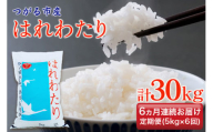 [定期便／6ヶ月連続] 令和6年 つがる市産 はれわたり 計30kg｜新米 2024年産 お米 白米 米 コメ 精米 農協 定期便 特A [0733]