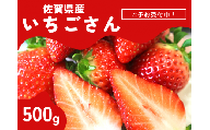 [先行予約受付中・令和7年2月以降順次発送]濃厚苺"いちごさん" 500g(A13718-04)