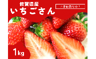 ＜先行予約受付中・令和7年2月以降順次発送＞濃厚苺”いちごさん”  1kg（A13719-04）