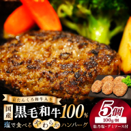 【クリスマスまでにお届け（12月20日～23日配送）】塩で食べるやわらかハンバーグ（デミグラスソース付）