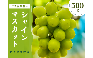 [先行予約受付中・令和7年7月下旬以降順次発送][濃厚芳醇]佐賀県唐津産シャインマスカット 500g(A13729-04)