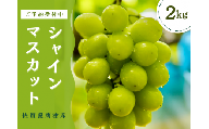 ＜先行予約受付中・令和7年7月下旬以降順次発送＞【濃厚芳醇】佐賀県唐津産シャインマスカット  2kg（A13732-04）