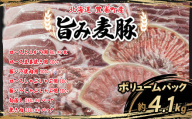 北海道 豊浦町産 「 旨み麦豚 」 ボリュームパック 【 ふるさと納税 人気 おすすめ ランキング 肉 豚肉 豚バラ 豚ひき肉 とんかつ 豚焼肉 豚ロース 豚しゃぶしゃぶ 切落し 大容量 おいしい 美味しい 北海道 豊浦町 送料無料 】 TYUG005