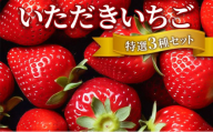 いちご いただきいちご 特選 3種 セット (1パック 8玉又は11玉入り×3パック) イチゴ 果物 ※配送不可:離島