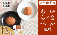 紀州産南高梅 わらべ風味といなか風味のセット 計1.2kg (600g×2種) 木箱/ 梅干し 梅干 梅 和歌山 田辺 紀州南高梅 南高梅 かつお昆布だし お試し 出汁 磯塩 防腐剤不使用 ご飯のお供 スポーツ 運動 塩分補給【wrb009】