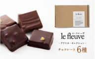 【le fleuve】チョコレート6種 プラリネ6