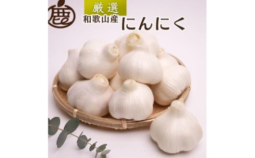＜5月より発送＞厳選 にんにく500g【生にんにく】【国産】 1522760 - 和歌山県美浜町