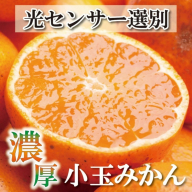 [2024年11月より発送]家庭用 小玉な有田みかん 3.5kg+105g(傷み補償分)[わけあり・訳あり][光センサー選果] ※北海道・沖縄・離島への配送不可 ※2024年11月上旬〜12月下旬頃に順次発送予定