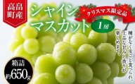 2024年 山形県 高畠町産 シャインマスカット 秀 約650g(1房) 2024年12月中旬から順次発送 年内お届け クリスマス 年末 ぶどう ブドウ 葡萄 マスカット 大粒 種なし 高級 くだもの 果物 フルーツ 産地直送 農家直送 数量限定 贈答 ギフト F21B-279