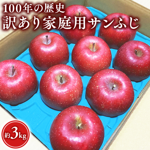 12月 100年の歴史 訳あり 家庭用サンふじ 約3kg【田中農園・青森県平川市産・青森りんご】 1522775 - 青森県平川市