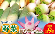 白菜 漬物 定番 冬の彩り野菜セット(白菜、カブ、 大根) - やさい 新鮮 カブ 詰合せ 浅漬け 朝採れ 簡単料理 常備野菜 時短 使いやすい 無農薬 産地直送 旬彩ファームやまさき 高知県 香南市 sy-0009